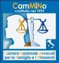 COMUNICATO STAMPA Il CamMiNo per un giusto processo Brindisi, dal 28 settembre al 24 novembre 2012 Il CamMiNo per un giusto processo.