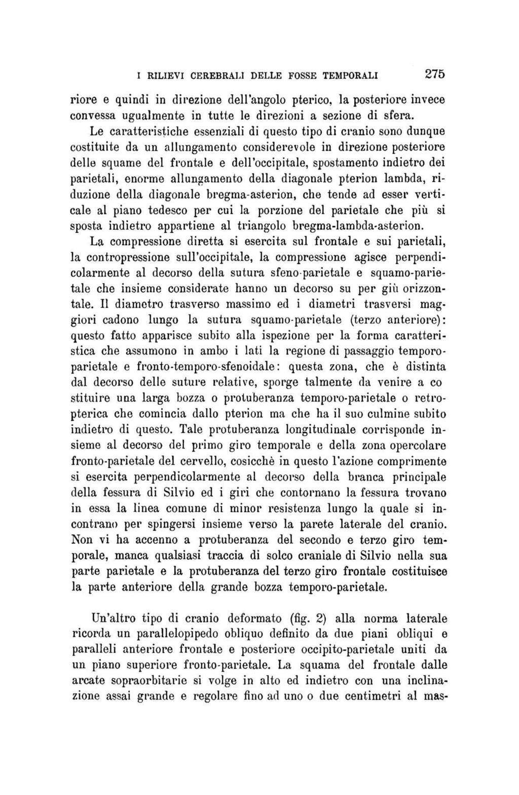 I RILIEVI CEREBRALI DELLE FOSSE TEMPORALI 275 riore e quindi in direzione dell'angolo pterico, la posteriore invece convessa ugualmente in tutte le direzioni a sezione di sfera.