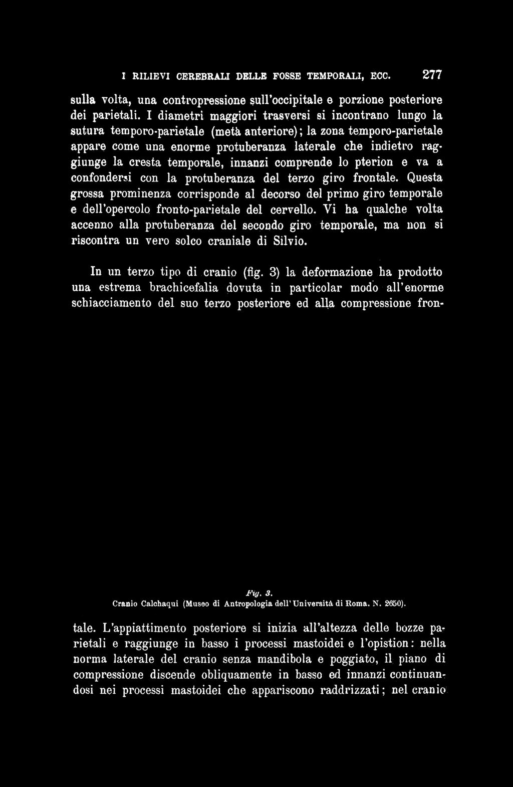 Vi ha qualche volta accenno alla protuberanza del secondo giro temporale, ma non si riscontra un vero solco craniale di Silvio. In un terzo tipo di cranio (fig.