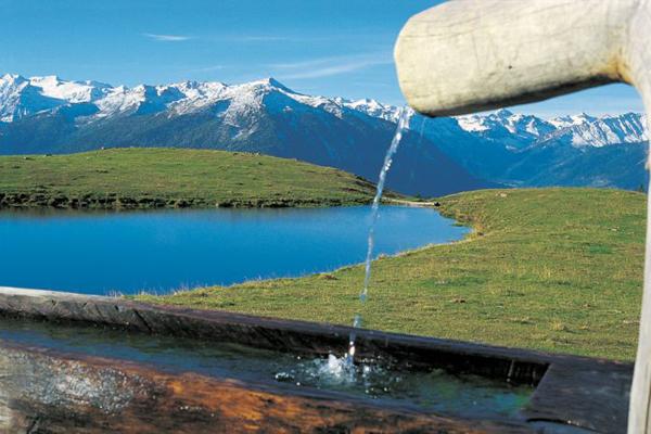 Spitzige Lun 2324 m Si va con la macchina propria fino a Mazia. Da lì inizia un sentiero forestale, passando per un bosco bellissimo si raggiunge Plantavilles 2057 m.