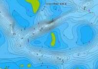 registrare tracce sonar (ecoscandaglio) nella sua zona usando un plotter o dispositivo mobile e caricarle su Navionics per far sì che SonarCharts diventi sempre più precisa, anche considerando i