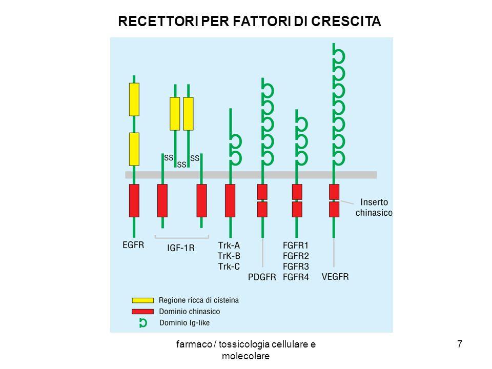 3. RECETTORI AD ATTIVITÀ CHINASICA INTRINSECA NGF: fattore di