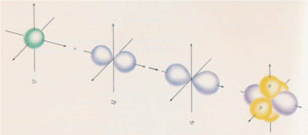 Possibili orbitali ibridi del secondo guscio: 1) $, 2 $, 3 $ 1) Ibridizzazione $: combinazione tra 1orbitale ed 1orbitale $che generano 2 orbitali ibridi 6 e 6 (rimangono