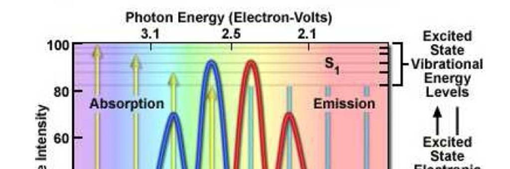 Fluorescenza La fluorescenza avviene sempre a