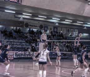 Campanara) VOLLEY