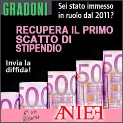 primaria e secondaria di primo grado, utilizzati per l intero anno scolastico su scuola secondaria di secondo grado, in possesso della specifica abilitazione all insegnamento della scuola secondaria