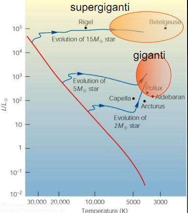 Fasi seguenti alla sequenza principale Le stelle passano gran parte della loro vita nella sequenza principale. P.e. l 80% per il Sole.