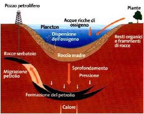 Le fonti energetiche non rinnovabili: il petrolio Il petrolio si originato decomposizione ambiente è dalla privo in di ossigeno di organismi animali che e si depositati vegetali in poco profondi.