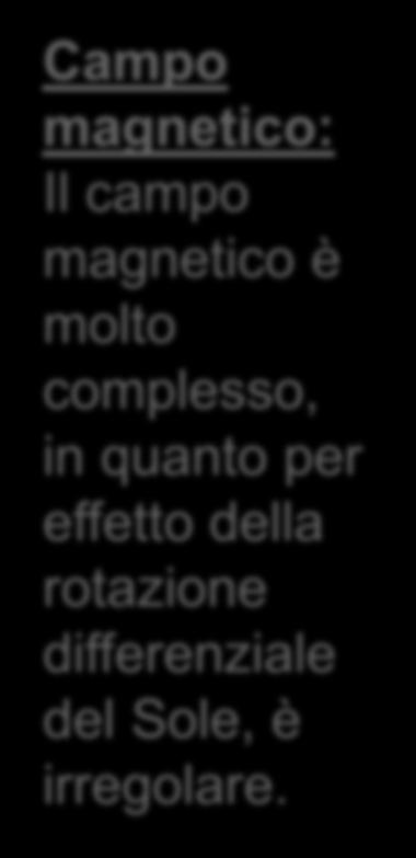 LA NOSTRA STELLA: IL SOLE Campo magnetico: Il campo magnetico è molto