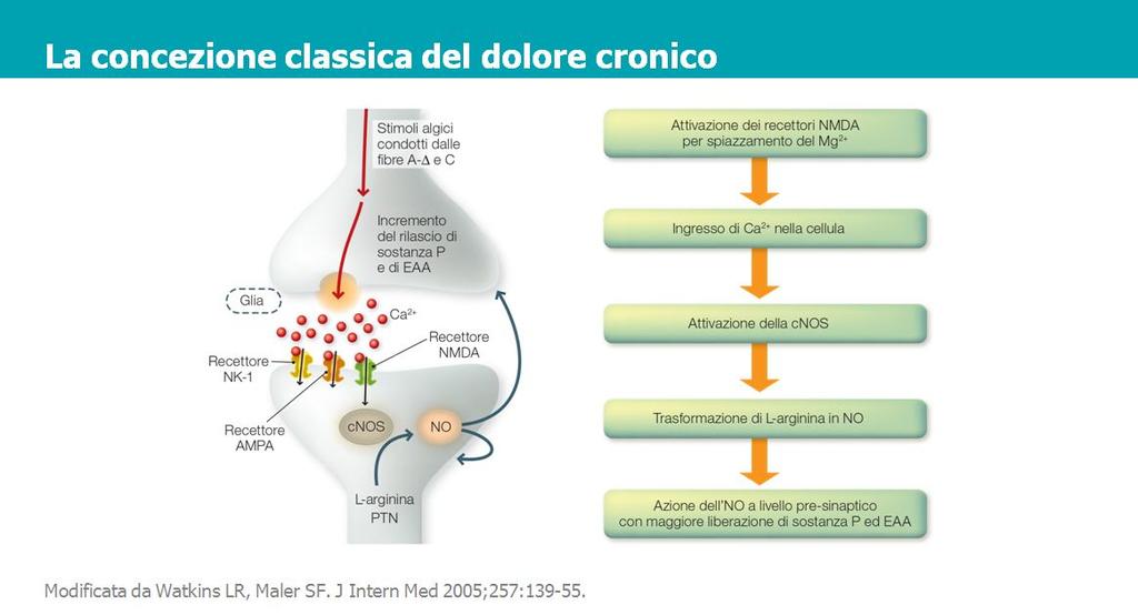 È qui riprodotta una rappresentazione della concezione classica del dolore cronico.