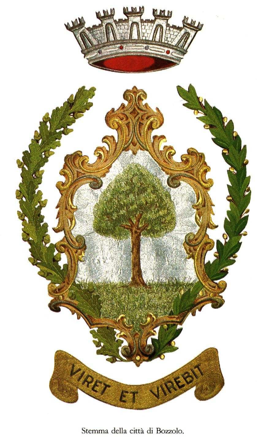 ORIGINLE COMUNE DI BOZZOLO (Provincia di Mantova) VERBLE DI DELIBERZIONE DELL GIUNT COMUNLE N.