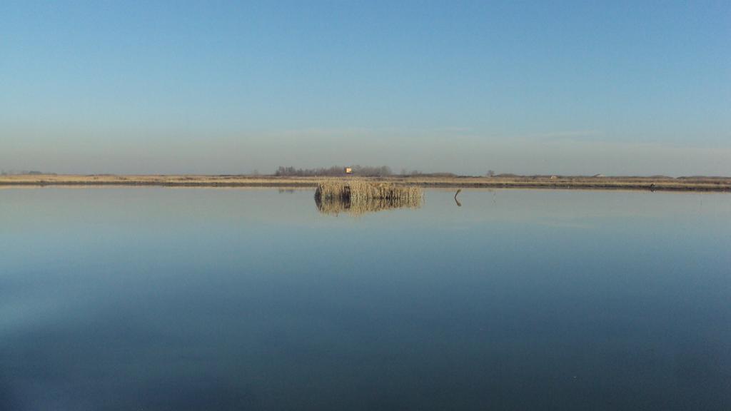 LIFE 13 NAT/IT/000115 coastal lagoon long term management Action A6: Monitoraggio ex-ante acque e benthos Monitoraggio