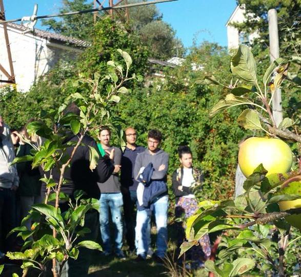 RICAMBIO GENERAZIONALE IN AGRICOLTURA 12 MILIONI DI EURO PER I NEOAGRICOLTORI MOLISANI Sono oltre 12 milioni di euro le risorse ad oggi già impegnate sul ricambio generazionale in agricoltura a