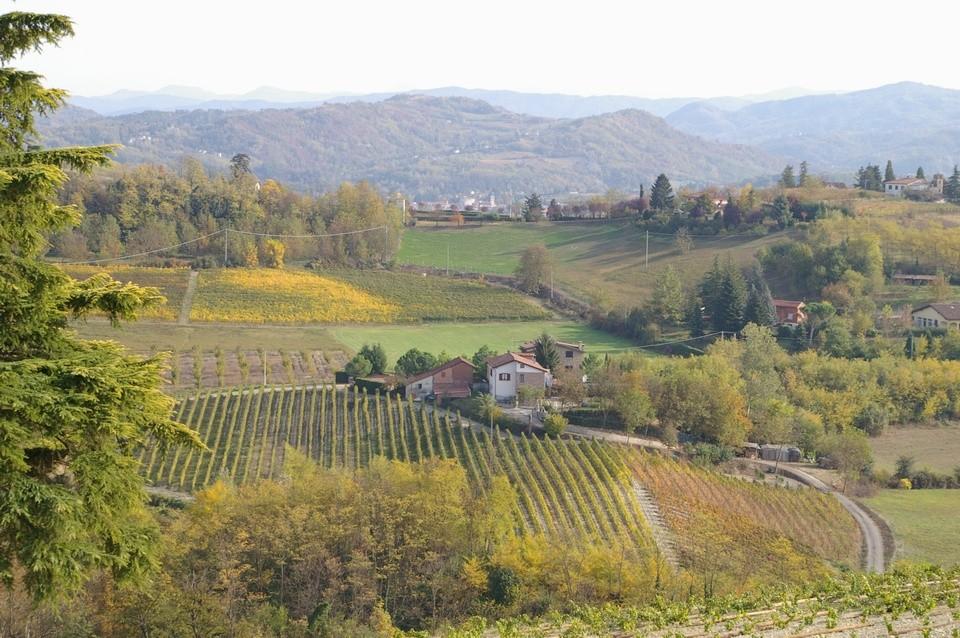 Paesaggi viticoli del Basso Piemonte