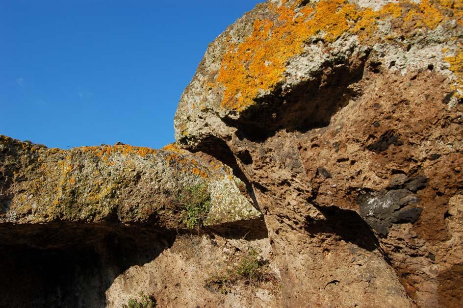 L Ignimbrite C appoggia direttamente sui depositi sedimentari marini plio-pleistocenici e rappresenta una delle propaggini più settentrionali dei prodotti del Distretto Vulcanico Vicano (Foto 2).