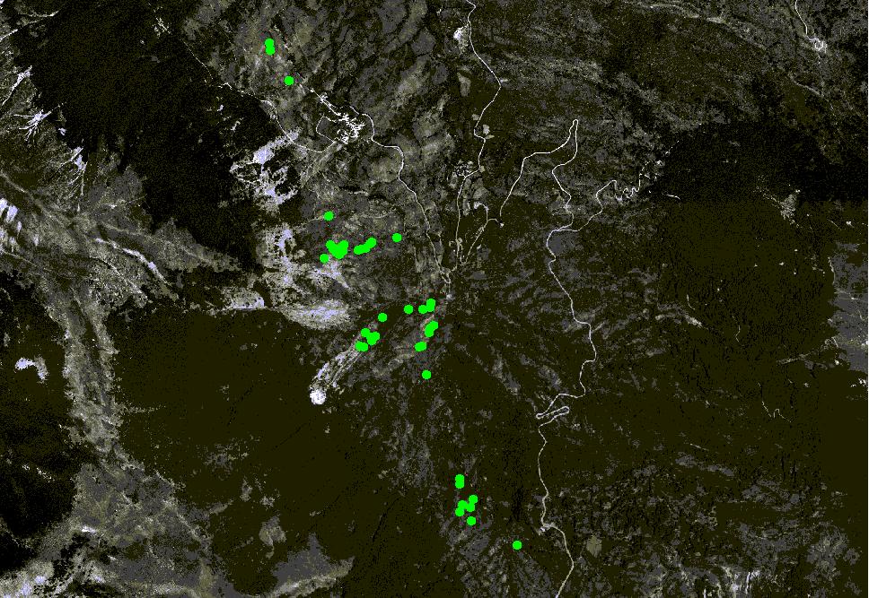 ANALISI DELLE METAPOPOLAZIONI Fosso di Ponte Luciano N i = 32,70 F i = 0,73 g i = 15,47 Un caso di studio applicato alla conservazione