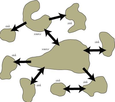 patchiness,, frammentazione e metapopolazioni