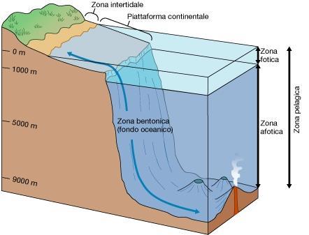 Zonazione