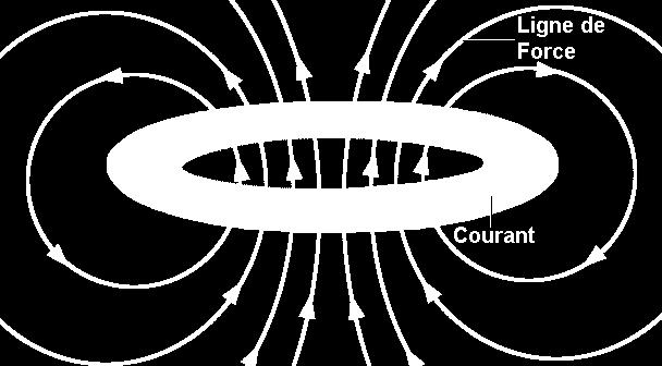 S M PI N U M R I C I Campo magnetico di una spira Ha la stessa configurazione del campo di un dipolo elettrico con momento di dipolo p = qd.