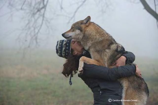 Va in Ungheria per interagire con i lupi socializzati (Balkan/Carpathian/Gray Wolf) di un parco. Nel 2015 conclude il corso di Dinamica Emozionale.