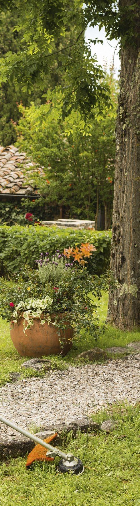 Il mio segreto per la cura del giardino: divertirsi.