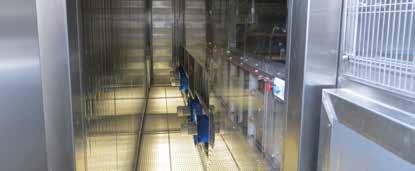 Le celle sono dotate di corridoi laterali, sia a livello terra che nella parte sopraelevata della cella e sono illuminati da lampade al neon e serviti da porte di accesso.