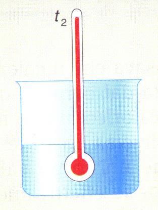 il termometro clinico) con il nostro corpo, dopo qualche minuto l oggetto avrà la stessa temperatura del nostro