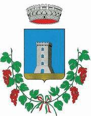 COMUNE DI TORGIANO Provincia di Perugia Regolamento per la disciplina dell