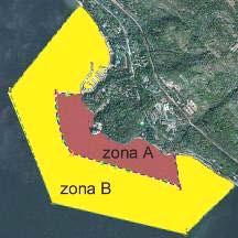 1. L AREA MARINA PROTETTA DI MIRAMARE 1.1. Miramare, un area protetta da più di 30 anni A Trieste si parla di mare protetto fin dal 1973 quando venne creato, sotto l egida del WWF Italia ONLUS, il