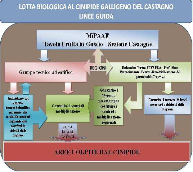 Entro ogni Regione i punti di riferimento sono e devono necessariamente rimanere i Servizi Fitosanitari Regionali.