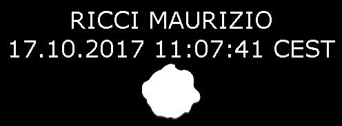 196 si informa che l Università si impegna a rispettare il carattere riservato delle informazioni fornite dal candidato.