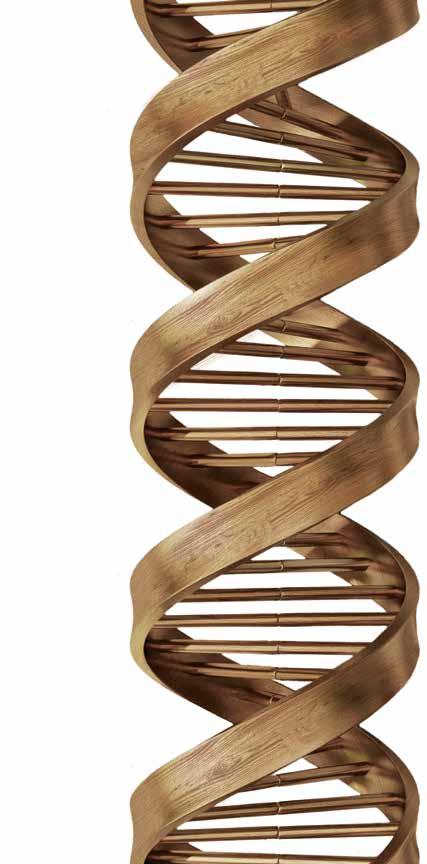 LE PIÙ SOLIDE TECNOLOGIE DEL LEGNO SONO IL NOSTRO DNA SCM.