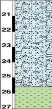 SI3 La sfida del geologo nel XXI secolo CAMPIONAMENTO MULTILIVELLO: risultati Multilevel sock samplers Parametri chimico-fisici Depth (m) 2 6 1 1 1 2 22 2 26 SI3