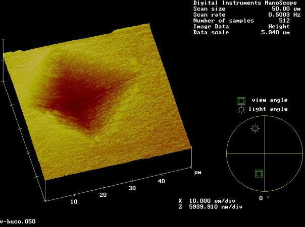 Metallografia Analisi di non conformità Microsezioni - Esame di struttura attraverso la realizzazione di provini metallografici Analisi morfologica attraverso microscopia ottica ed elettronica