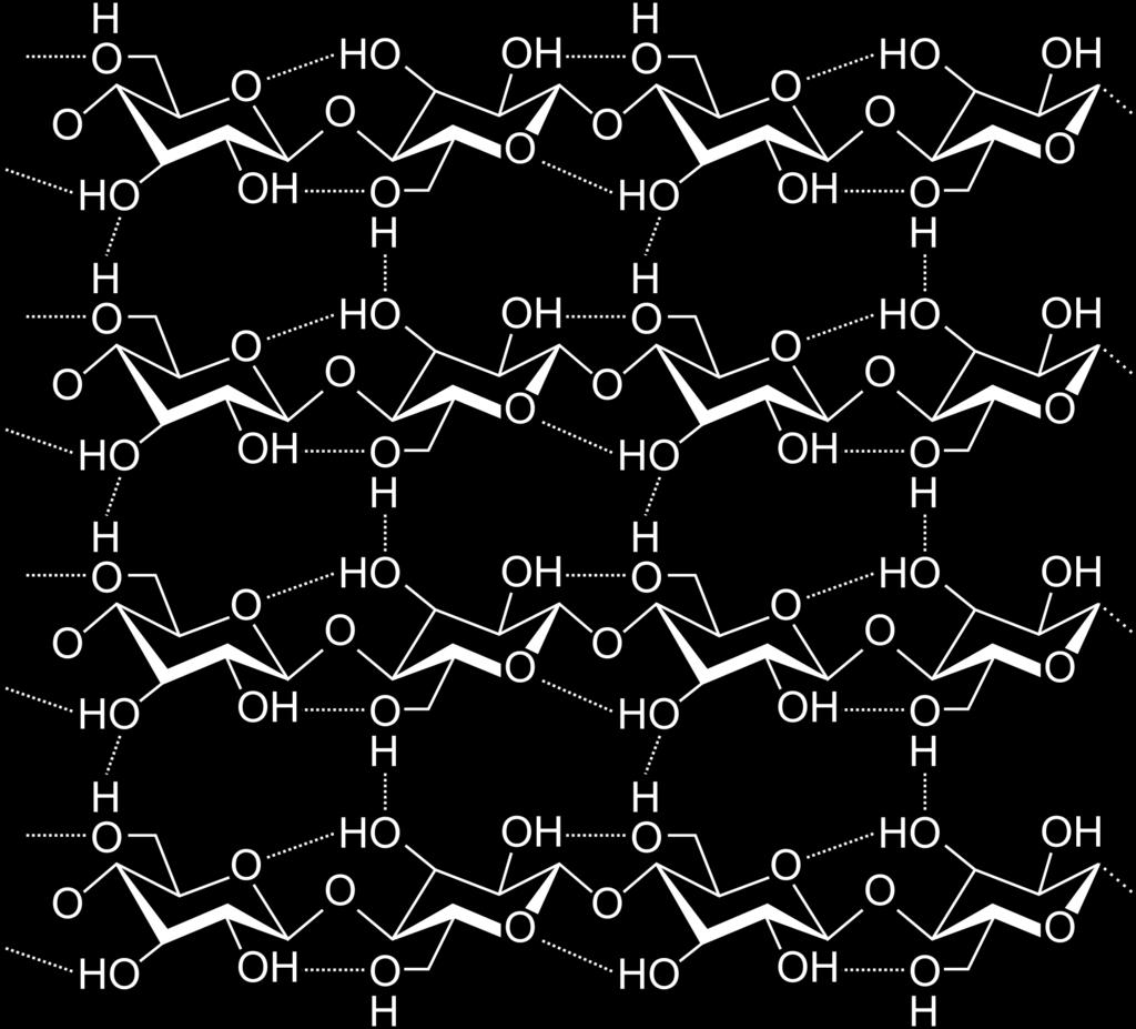 Carboidrati oligo/polisaccaridi Cellulosa: polisaccaride del glucosio Componente strutturale fondamentale del regno vegetale.