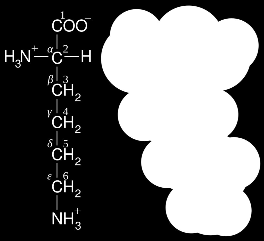 carbonio catena