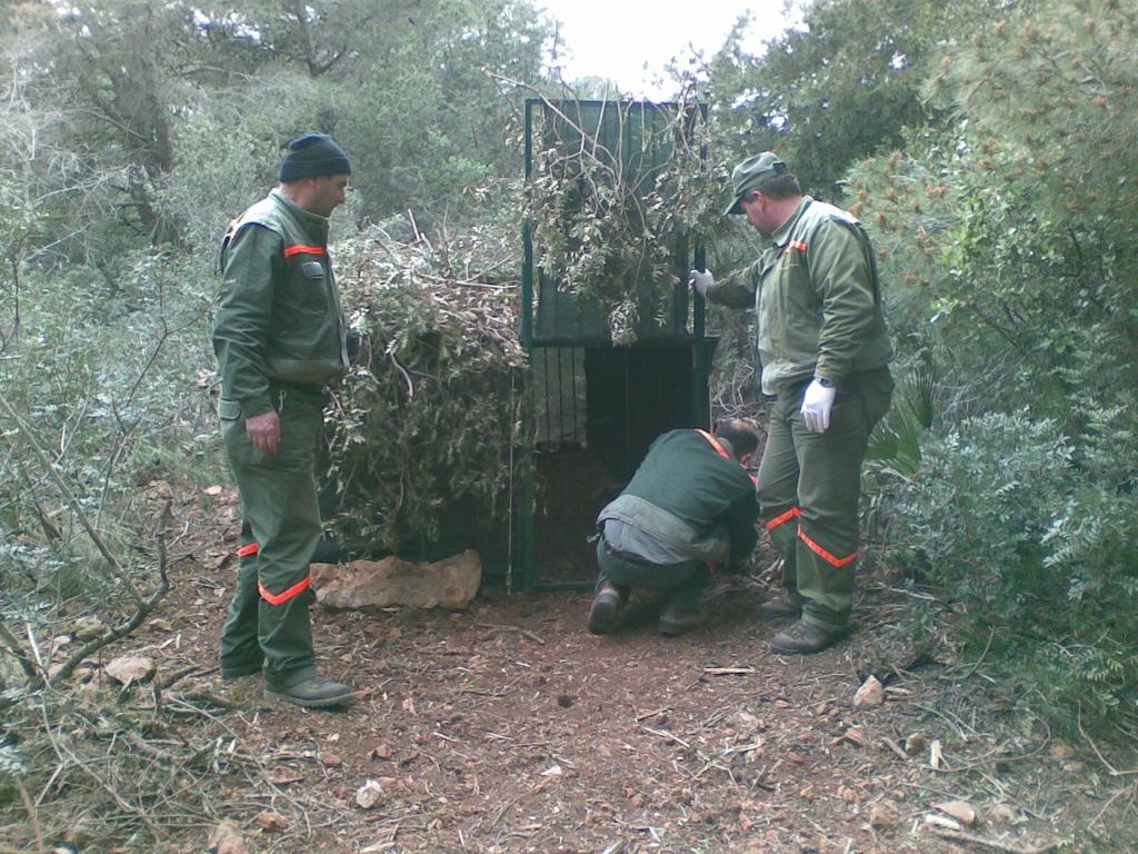 I siti di foraggiamento e cattura L individuazione dei siti di foraggiamento e cattura si è basata sulla loro massima distribuzione sul territorio e minore acclività e dissesto delle piste forestali