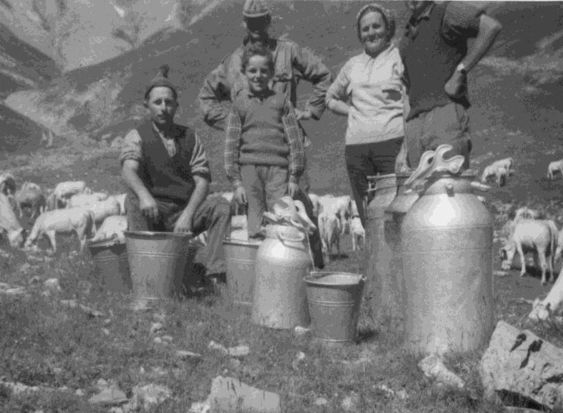 I pascoli alpini sono un bene della collettività il cui utilizzo necessita di strumenti