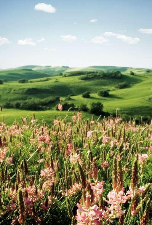 COLLINE, CIPRESSI E STORIA MILLENARIA Volterra, una cittadina di circa 10.