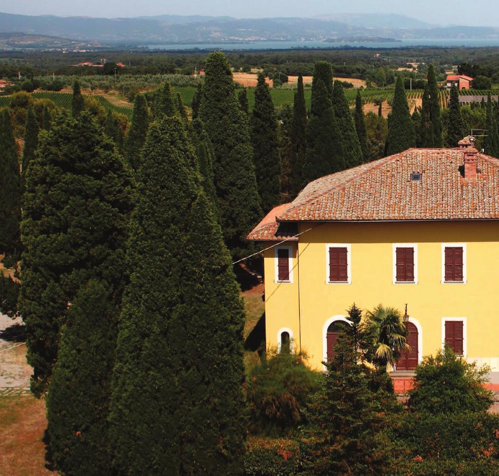 Siena» Sostituzione copertura in amianto con Lamiera Grecata» Rinforzo sottostruttura in acciaio» Tamponamento laterale con