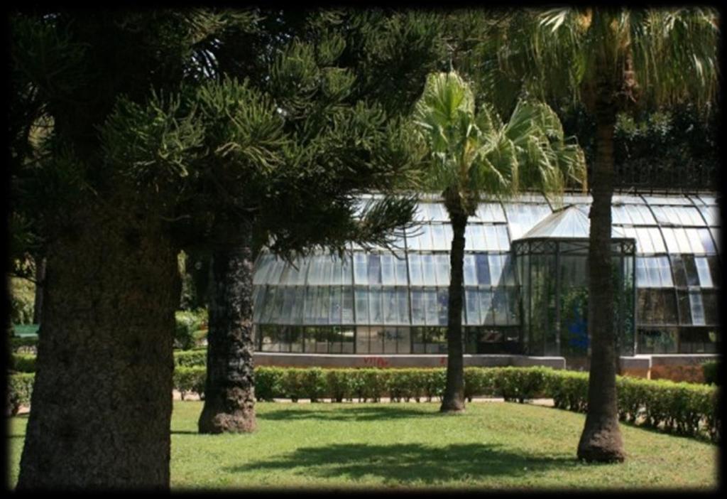 grande serra in stile liberty che troviamo, nascosta tra la vegetazione, dirigendoci verso l ingresso di Via Duca della Verdura.