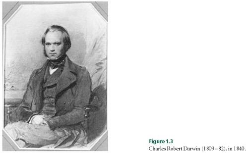 Carles R. Darwin 1831-1836 viaggio sul Beagle 1838 saggio di Thomas Malthus 1858 manoscritto di Alfred R.