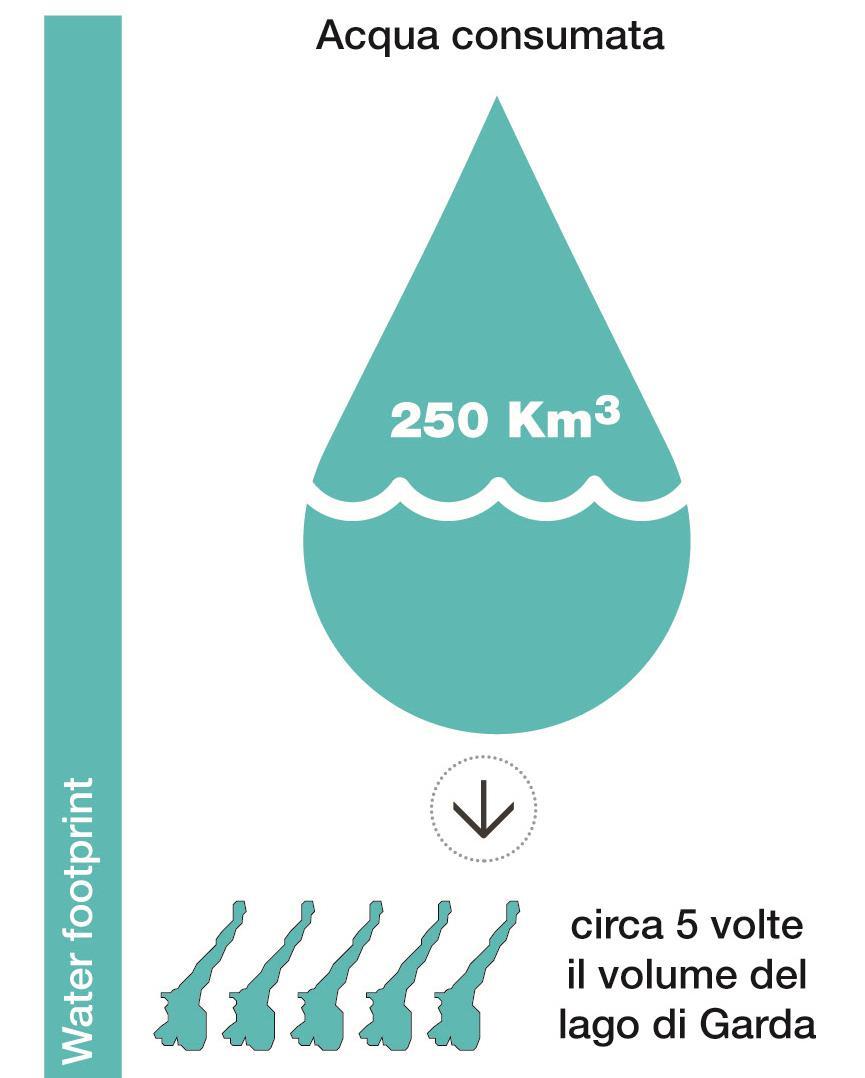 Quanto costa lo spreco alimentare Acqua Il quantitativo di acqua richiesto per produrre il cibo che viene sprecato ogni anno nel mondo è pari a circa