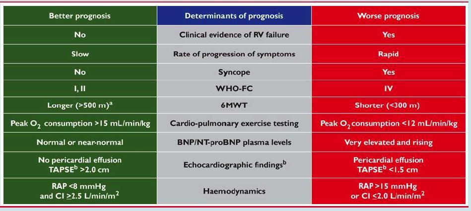 a Depending on age; b TAPSE and pericardial effusion selected because they can be measured in majority of patients 6MWT, 6-minute walk test; BNP, brain natriuretic peptide; CI, cardiac index;