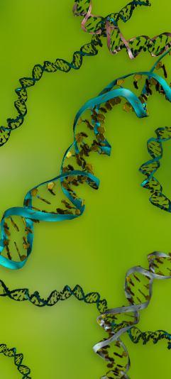 A.A. 2015-16 Dipartimento di Scienze della Vita CdS Biologia Molecolare e Cellulare (LM-6) The modular and hierarchical composition of MGEs. Genetica dei Procarioti - 9 Prof.