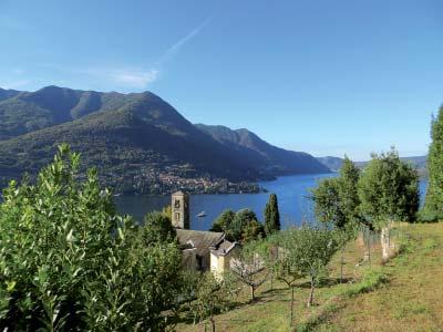 Sabato pomeriggio raggiungeremo il Rifugio Murelli (m. 1200) posto in posizione panoramica sul sottostante lago di Como.