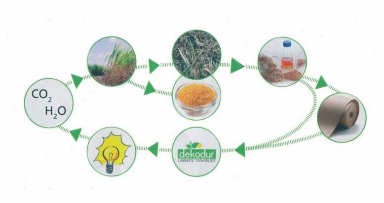 DEKODUR SVILUPPA IL FUTURO : ECOLOGICO, SOSTENIBILE, RICICLABILE Poiché l ambiente è importante per noi, Dekodur utilizza da tempo materiali naturali e risorse rinnovabili nella produzione di