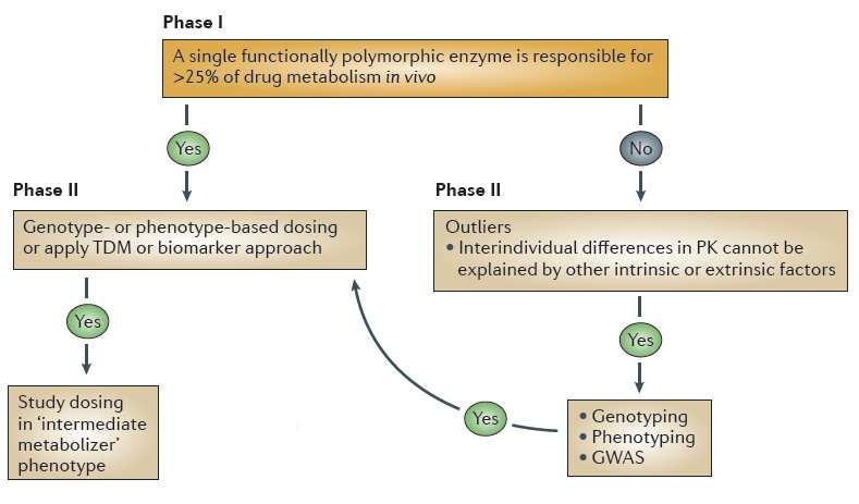 EMA proposed guidelines Adpted from Maliepaard et al.