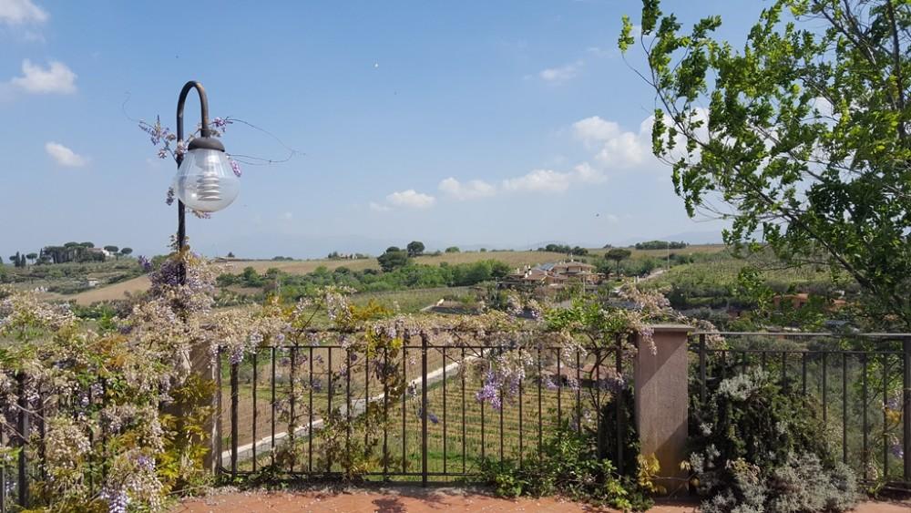 Merumalia, terrazza Dodici ettari totali di terreno, di cui dieci di vigneto e uno di uliveto, oltre a qualche albero da frutto ornamentale: all inizio la Famiglia Fusco