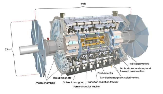 Capitolo 1. L esperimento ATLAS a LHC Figura 1.5: Rivelatore ATLAS.